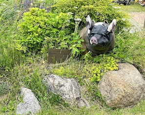 A pig statue surrounded by greenery and rocks. - Neues Appartement Nr. 6 im Lepels Hof (Luetow)
