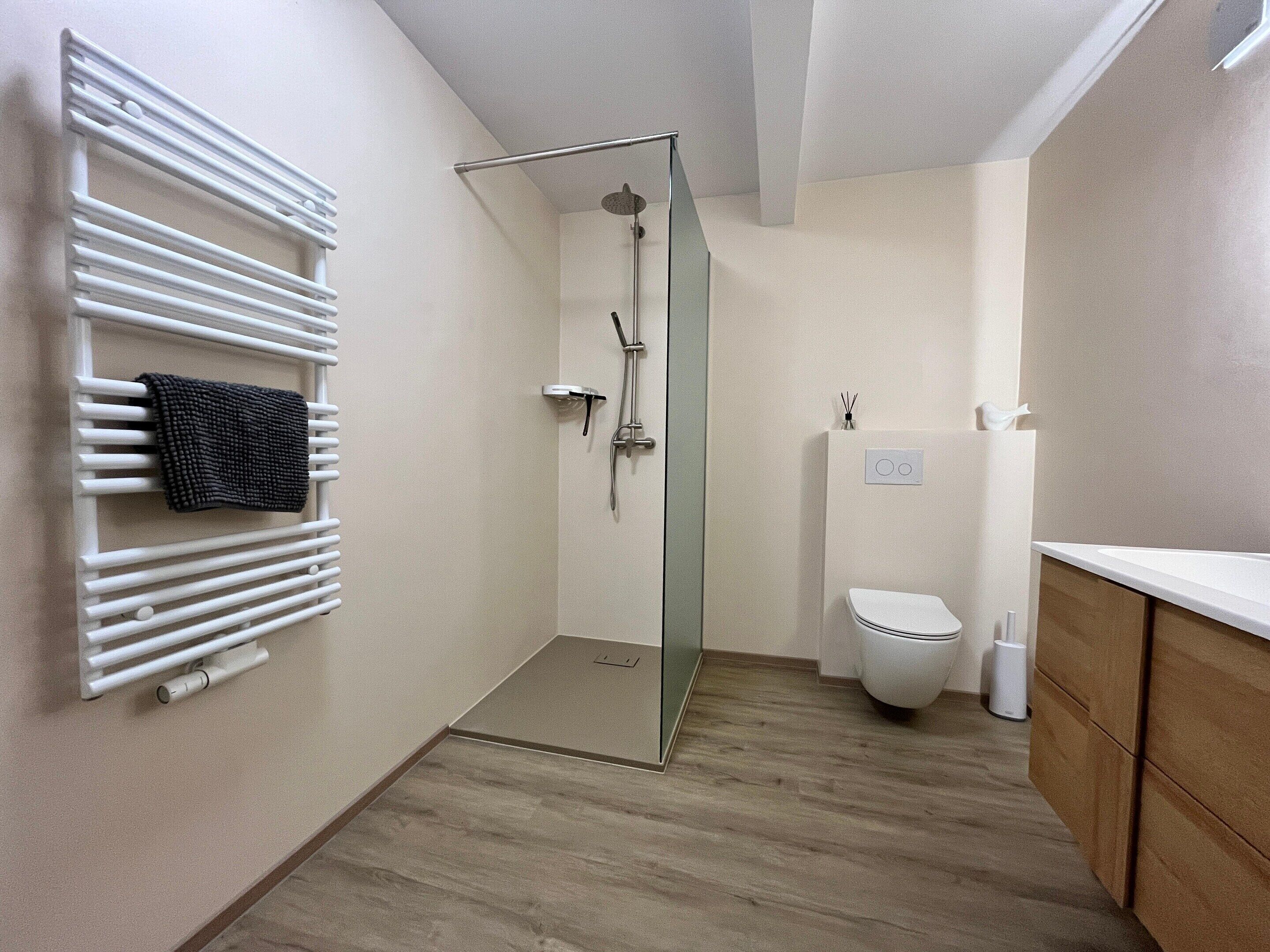 A modern bathroom with a glass shower enclosure, a white toilet, and a wooden vanity.