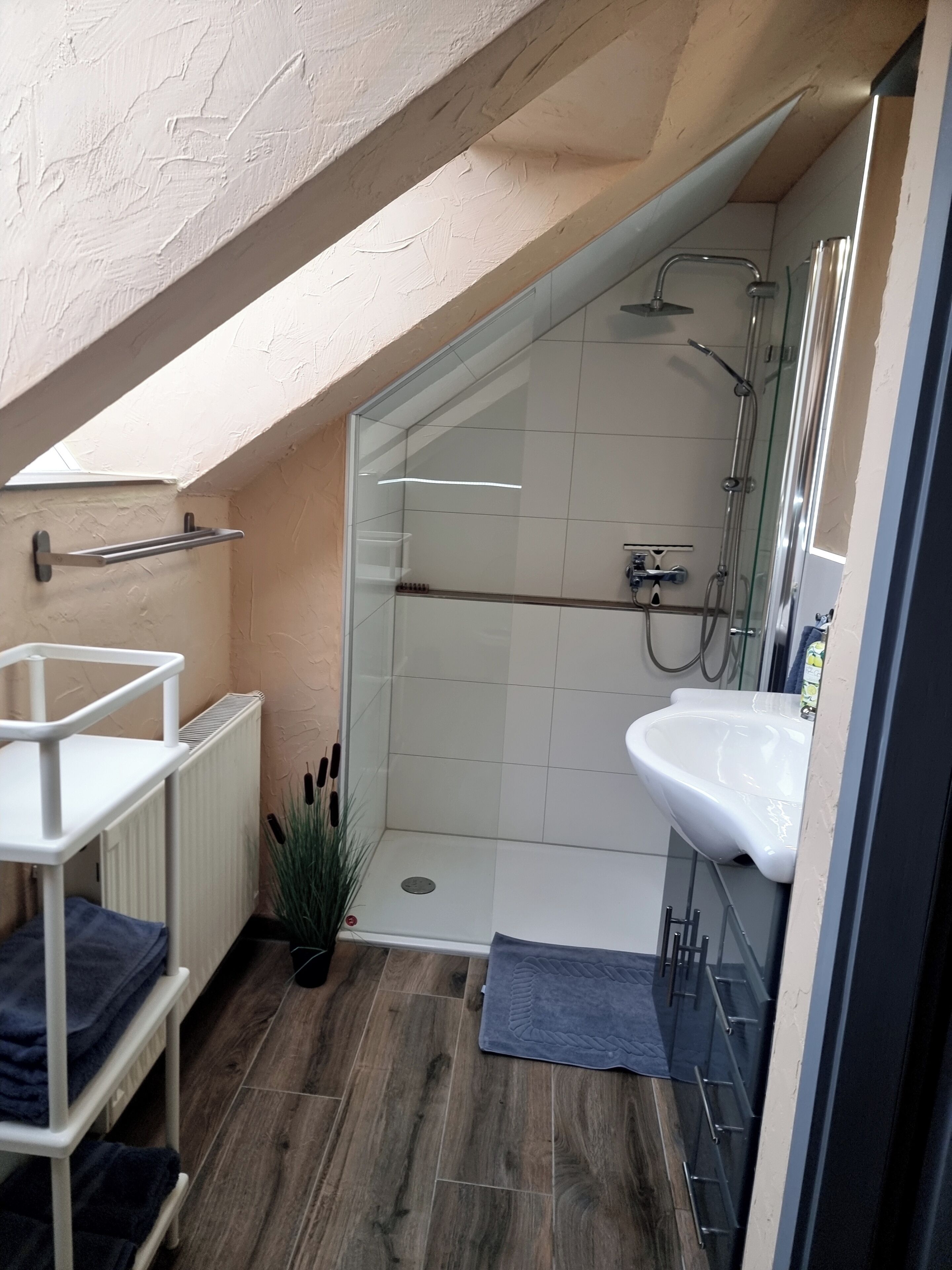 Dusche, Haartrockner, Handtücher, Seife