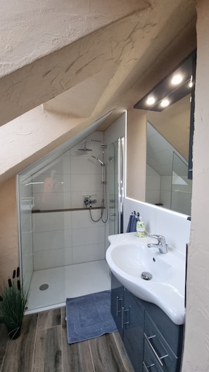 Dusche, Haartrockner, Handtücher, Seife