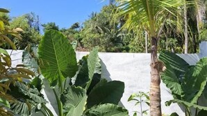 Un jardín con una palmera, plantas de hojas grandes y un muro blanco al fondo.