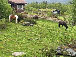 Parco della struttura