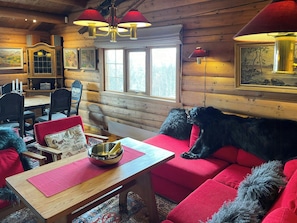 Fernseher, Kamin
