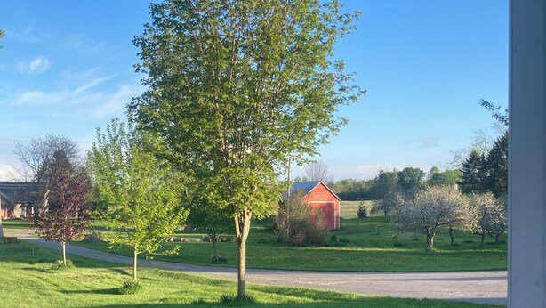 Ländliche Landschaft mit einer roten Scheune, einem von Bäumen gesäumten Pfad und einem grünen Feld.