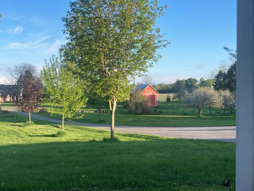 Quiet country apartment for rent. Near Kingston, Napanee and Prince Edward C.