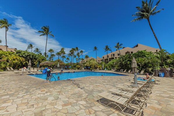 Outdoor pool, a heated pool