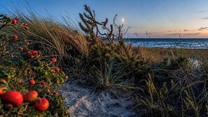Beach - Secluded holiday oasis near lovely beach (Højby)