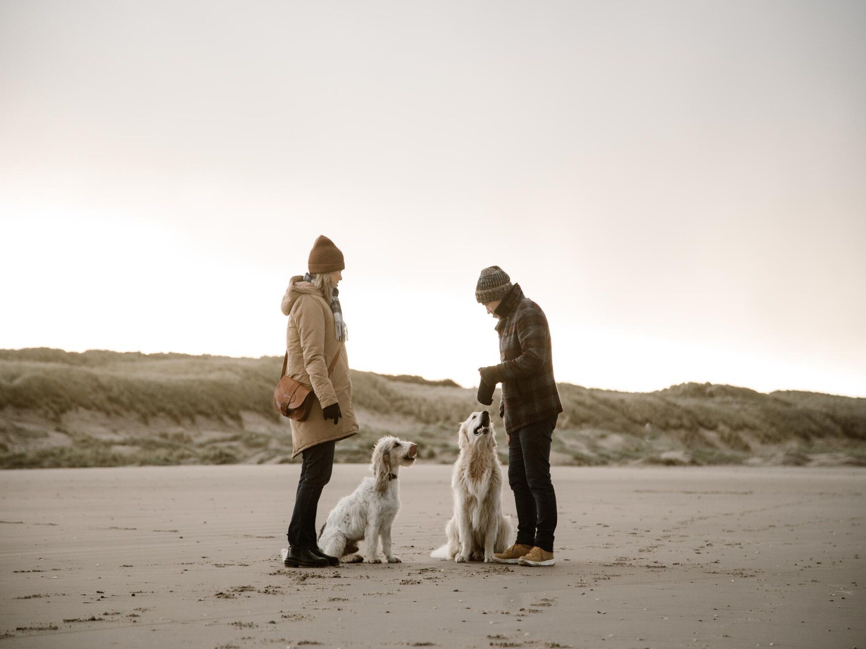 En strandscene med tre personer og to hunde.