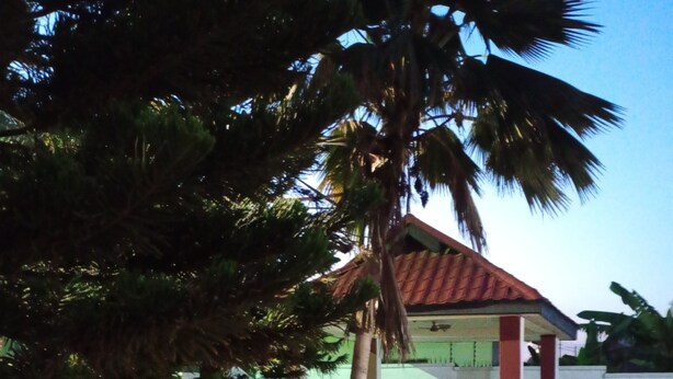 Imej tidak diklasifikasikan, 1 daripada 8, butang