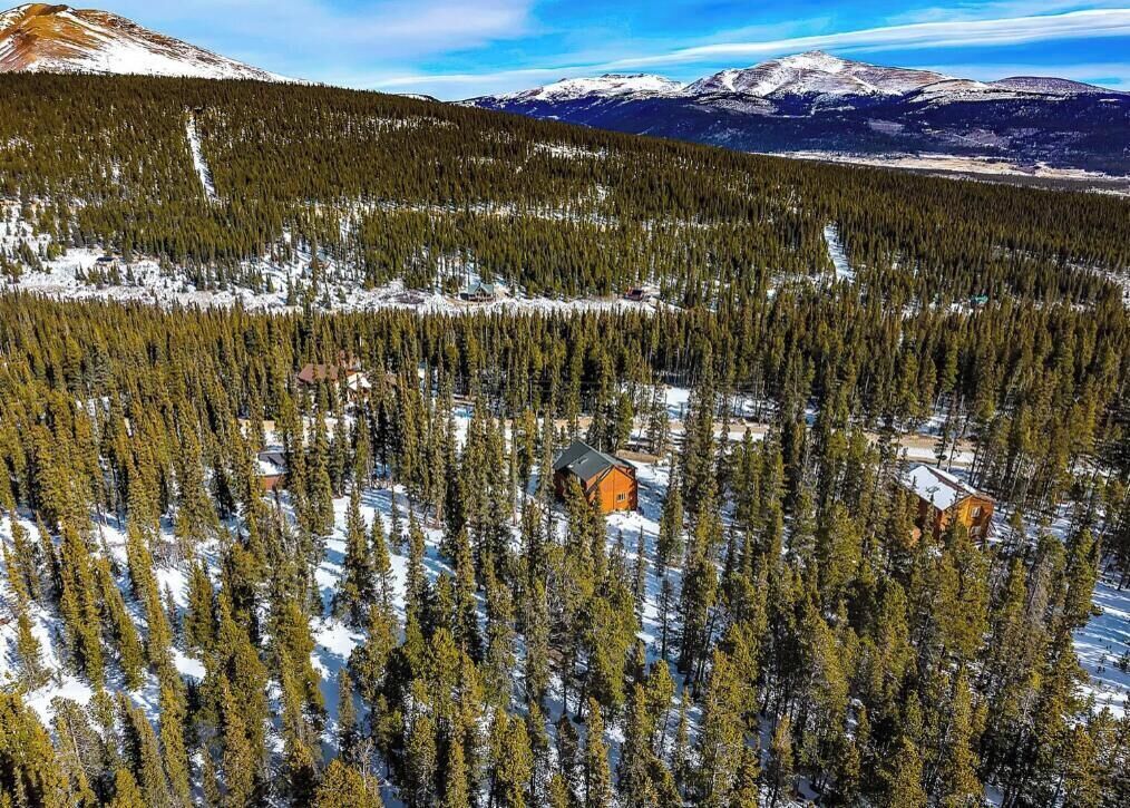 Une zone boisée avec des bâtiments, le tout au milieu d’un paysage enneigé.