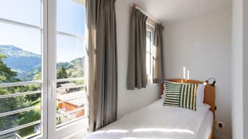 3 slaapkamers, een strijkplank/strijkijzer, gratis wifi, beddengoed