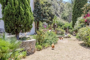 Property grounds - A retreat surrounded by nature | 10 minutes from Sitges (Barcelona)