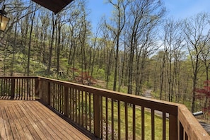 Property grounds - Cozy nature getaway 60 mins from NYC near WestPoint! Family Friendly with Piano! (Garrison)
