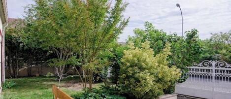 Ein Garten mit verschiedenen Bäumen und Sträuchern, einer hölzernen Bank und einem Metallzaun.