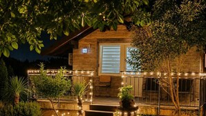 A house with a wooden exterior, a porch with steps, a small potted plant, and a string of lights. - Holiday Home Damian (Zagreb)