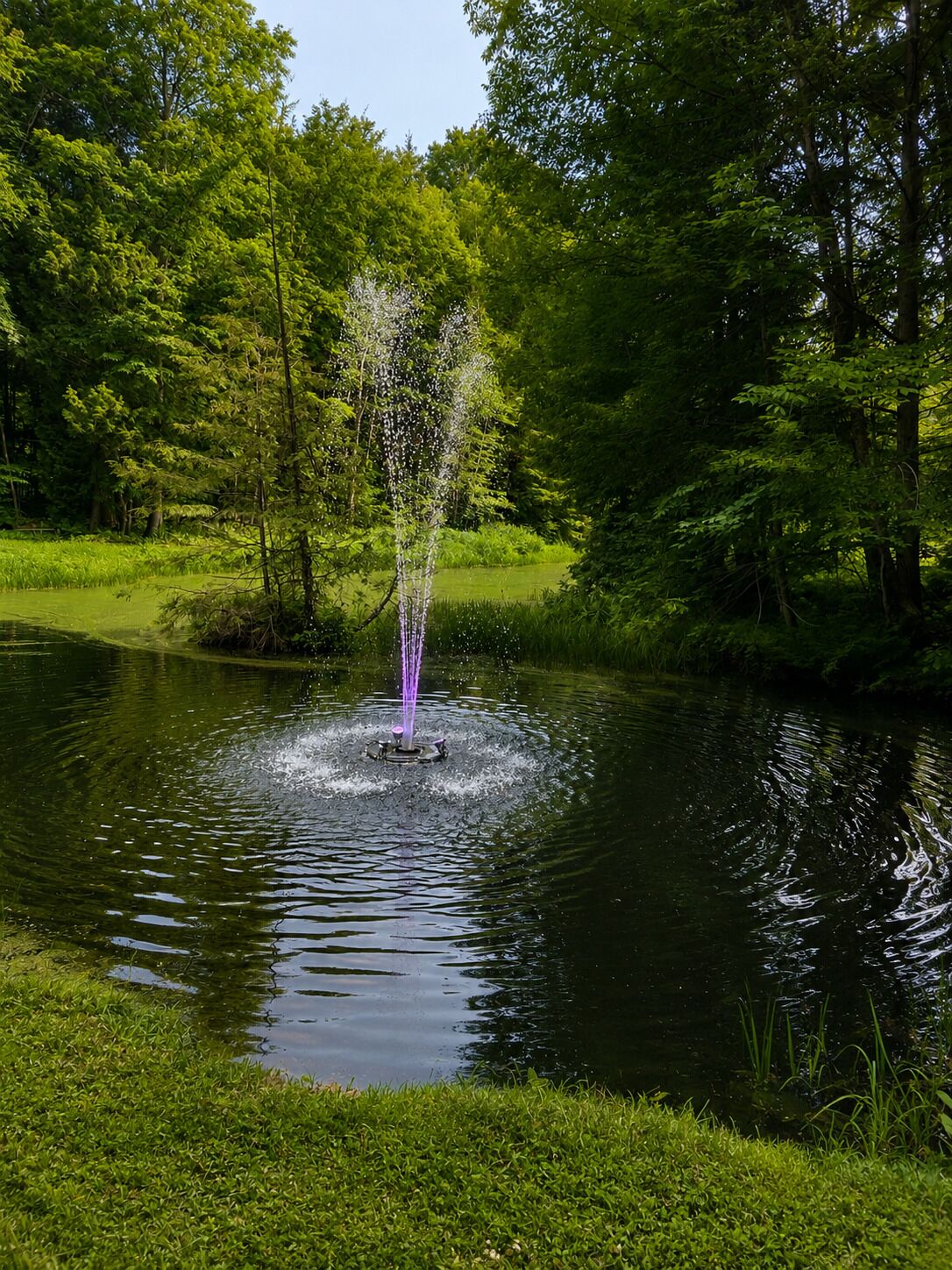 Un étang paisible avec une fontaine au centre, entouré d’une végétation luxuriante et d’arbres.