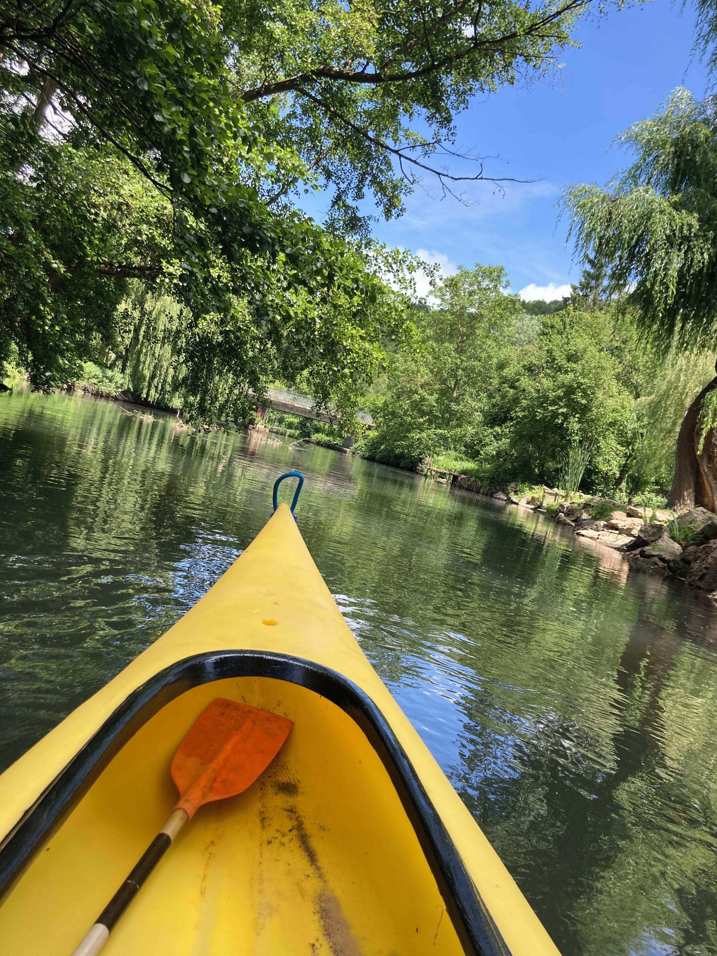 Un kayak giallo con pagaia arancione su un fiume calmo, circondato da vegetazione lussureggiante.