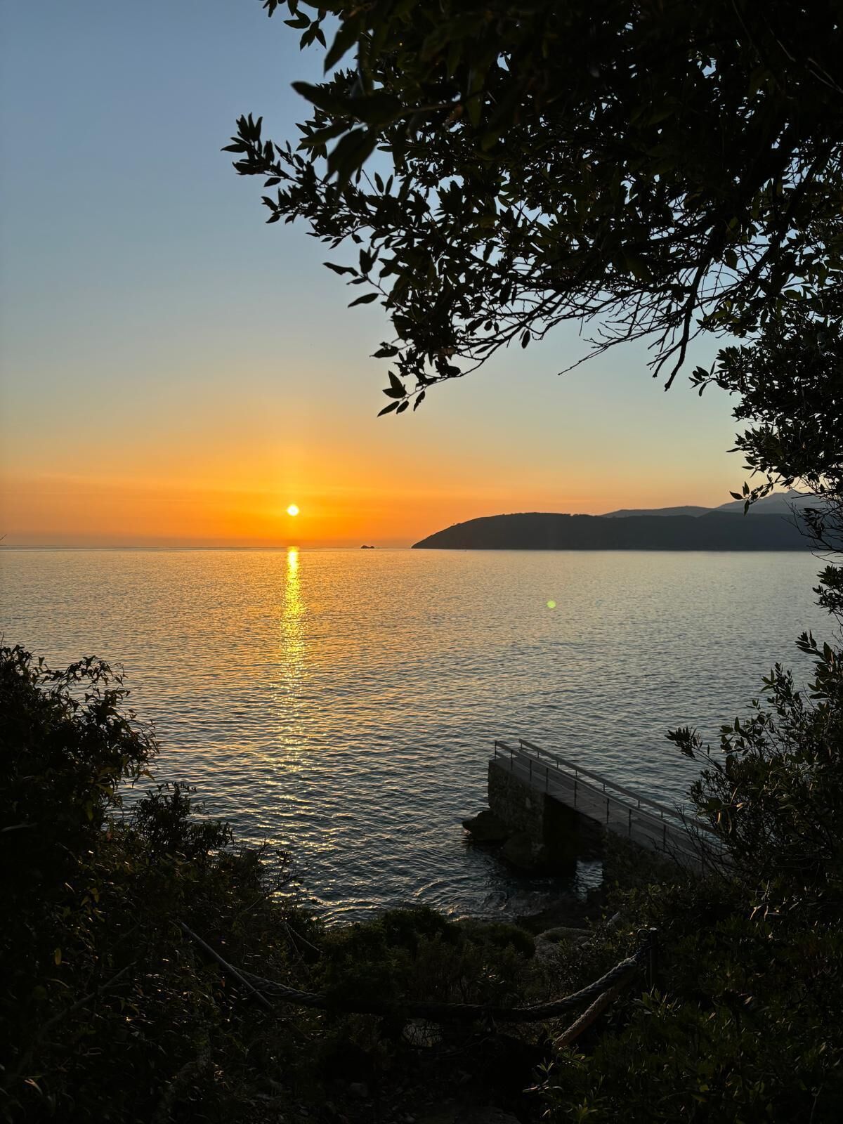 A sunset over a calm body of water with a bridge and foliage in the foreground.