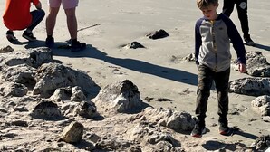 Ein sandiger Strand mit Felsen, ein Gewässer und eine entfernte Küstenlinie mit Bäumen und Gebäuden.