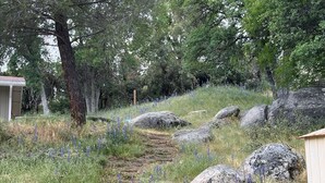 A natural outdoor setting with a dirt path, large rocks, and wildflowers. - Yosemite Retreat Near Bass Lake with Firepit, BBQ & Sauna (Oakhurst)