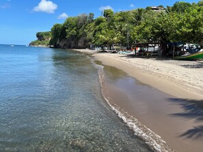 Uma praia com águas cristalinas, areal dourado e uma colina arborizada ao fundo.