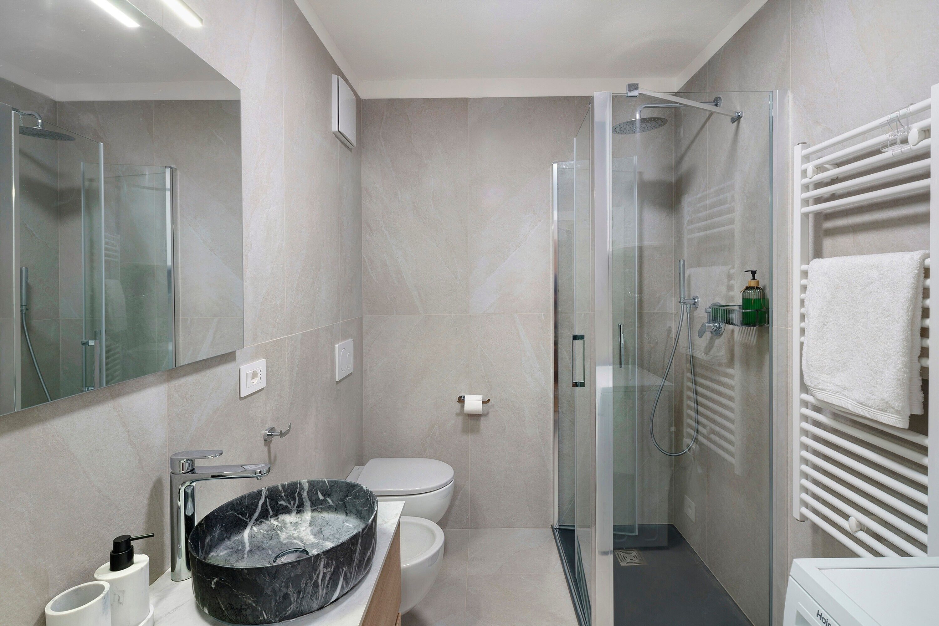 Shower, hair dryer, towels