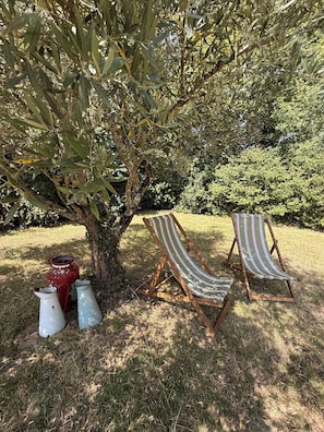 Property grounds - Domaine de Chaunac (Chaunac)