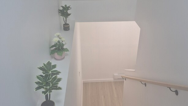 A staircase with wooden steps and a handrail, flanked by white walls and potted plants. - Home  away from home, clean,  cozy and comfortable (Saskatoon)