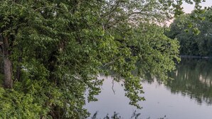Une terrasse en bois mène à un lac paisible, entouré d’une végétation luxuriante.
