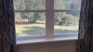 A room with a large window, curtains, and a view of a landscape with trees and a fence. - Peaceful Gold Country Studio Near Yosemite & Black Oak Casino (Tuolumne)