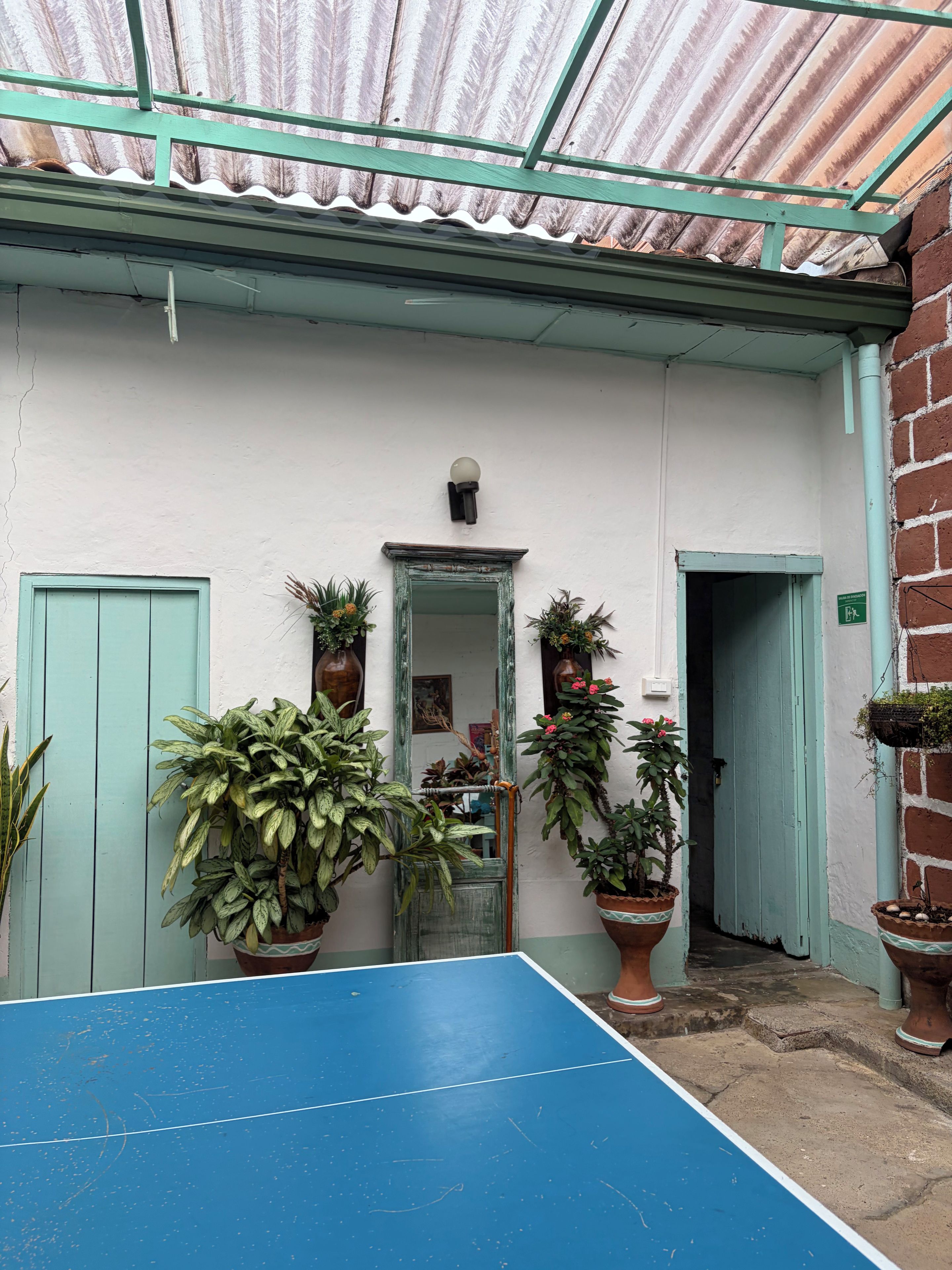 Una cancha de tenis con superficie azul, rodeada de plantas en macetas y un muro blanco con una puerta verde.