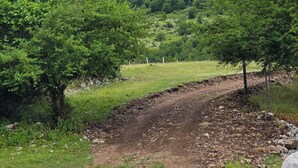 Ein unbefestigter Pfad schlängelt sich durch eine grüne Landschaft mit Bäumen und einem Berg im Hintergrund.