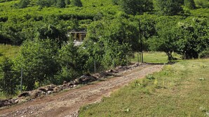 A mountainous landscape with a dirt path, greenery, and a building partially obscured by trees.