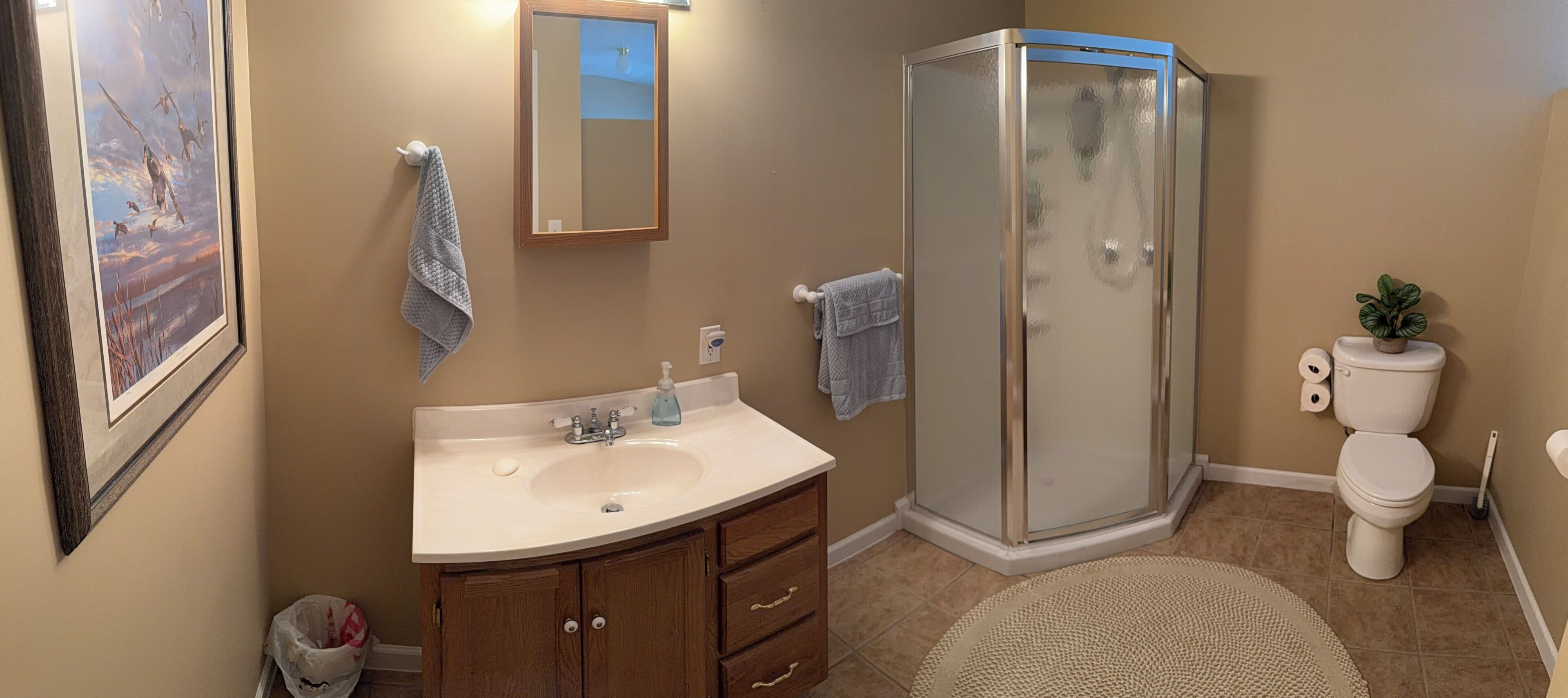 A bathroom with a sink, mirror, towel rack, shower, toilet, and a framed picture on the wall.