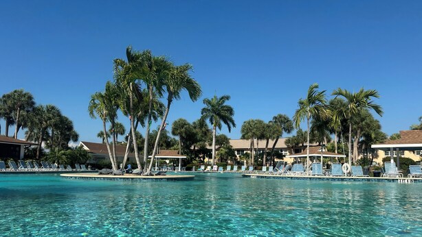 Piscina cristalina com espreguiçadeiras e palmeiras, rodeada por edifícios de resort.