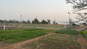Sports court - green sweet farm in Umm Al Quwain (Umm Al Quwain)