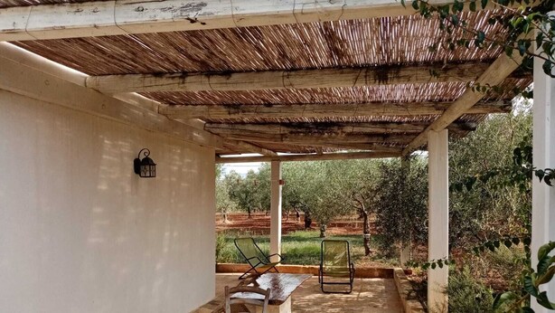 A covered outdoor patio with a table and two chairs, a lantern, and a view of an olive grove. - LA TORRETTA SHORT-TERM RENTALS (MONOPOLI)