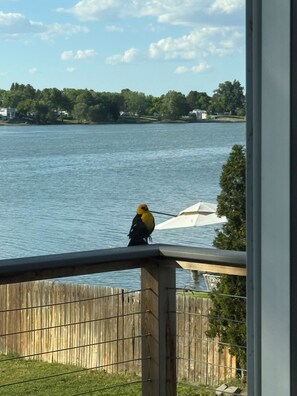 Property grounds - Peaceful Retreat on the Lake (Moses Lake)