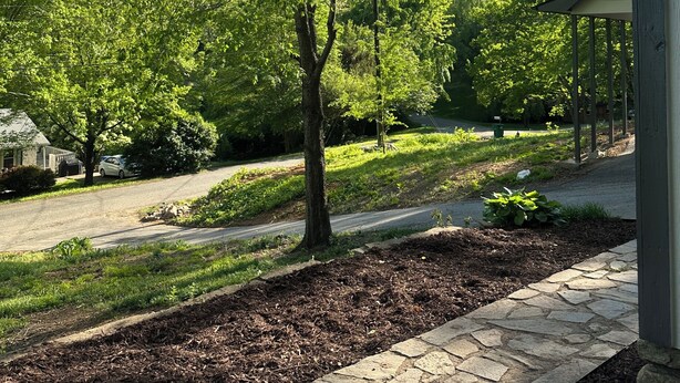 Un quartier résidentiel avec un mât sur lequel flotte le drapeau américain, un chemin de pierres et une rue bordée d’arbres.