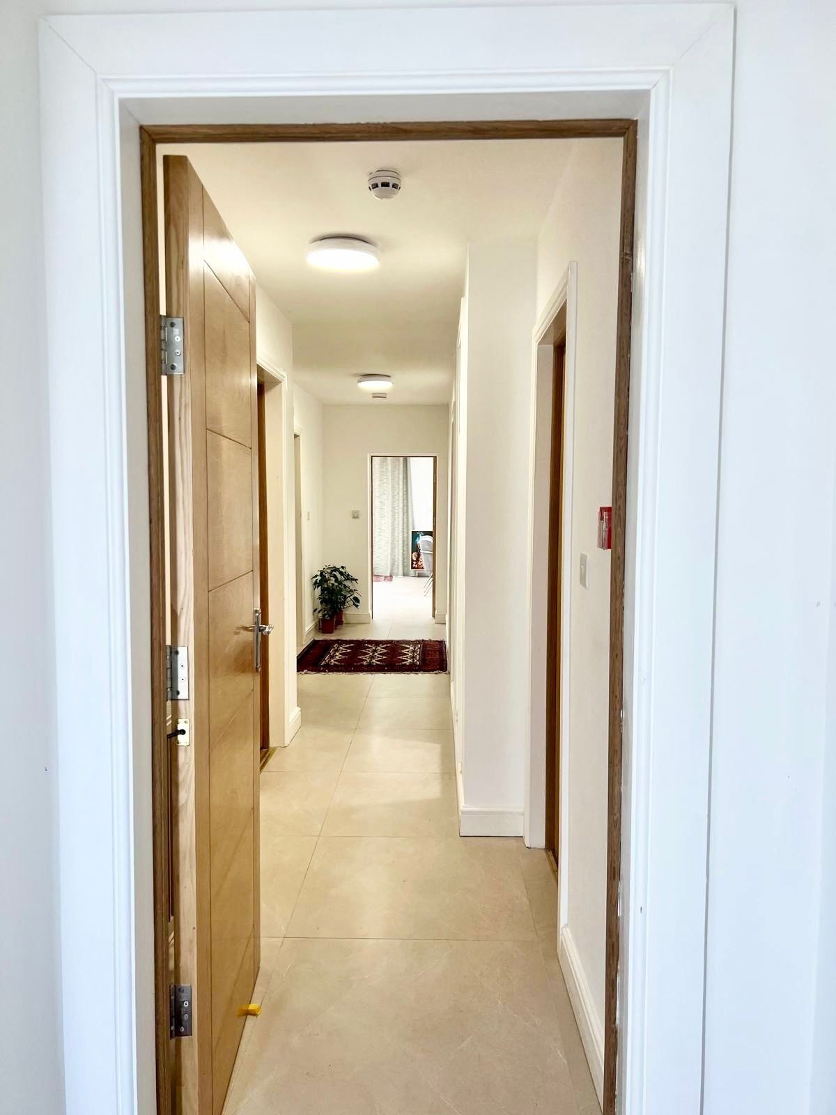 A hallway with a wooden door on the left, a potted plant, and a red patterned rug on the floor.
