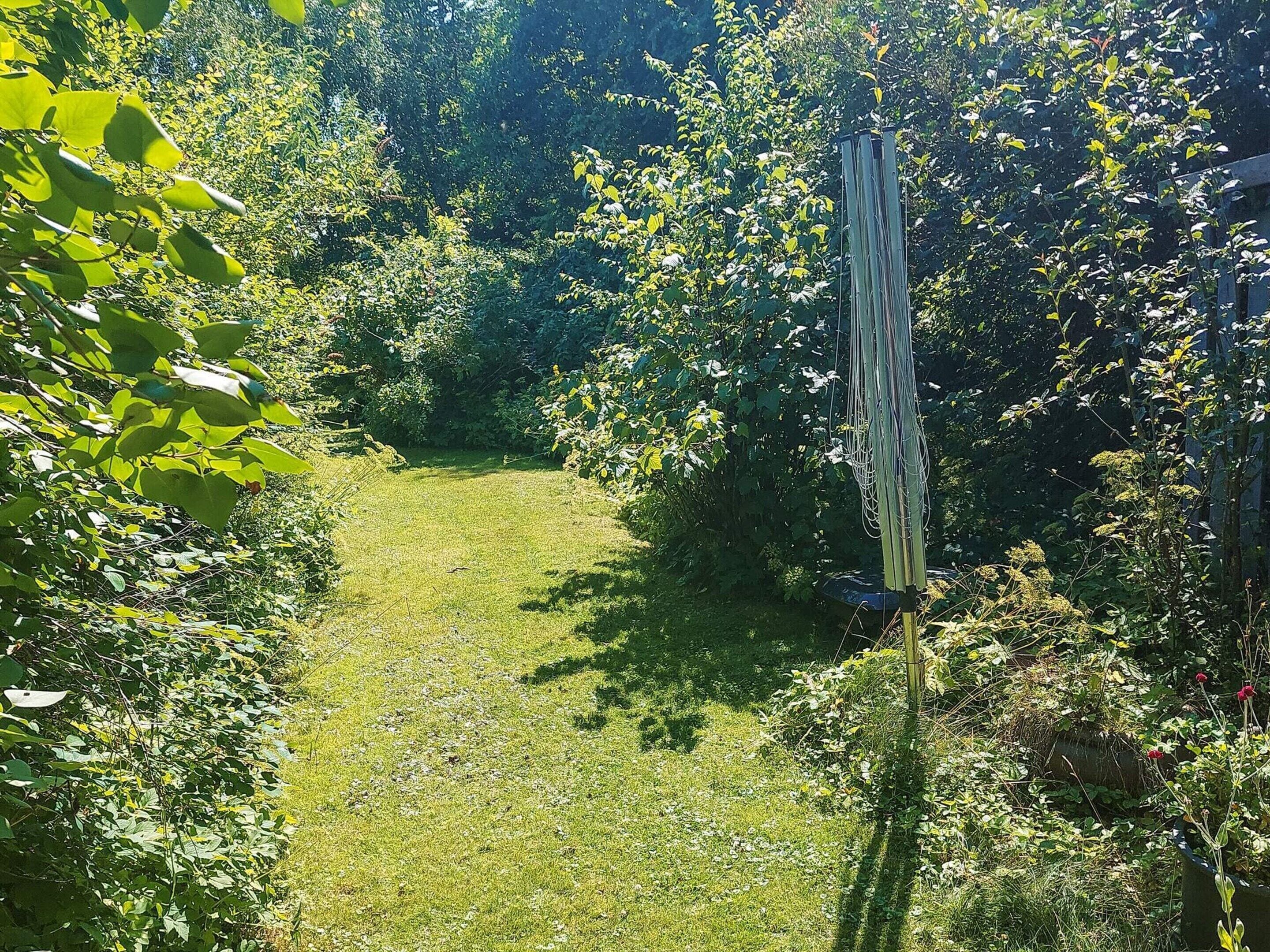 A pathway through a garden with dense foliage on either side.