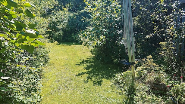 A pathway through a garden with dense foliage on either side. - 4 Star Holiday Home in Hundested (Hundested)