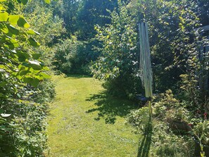 A pathway through a garden with dense foliage on either side.