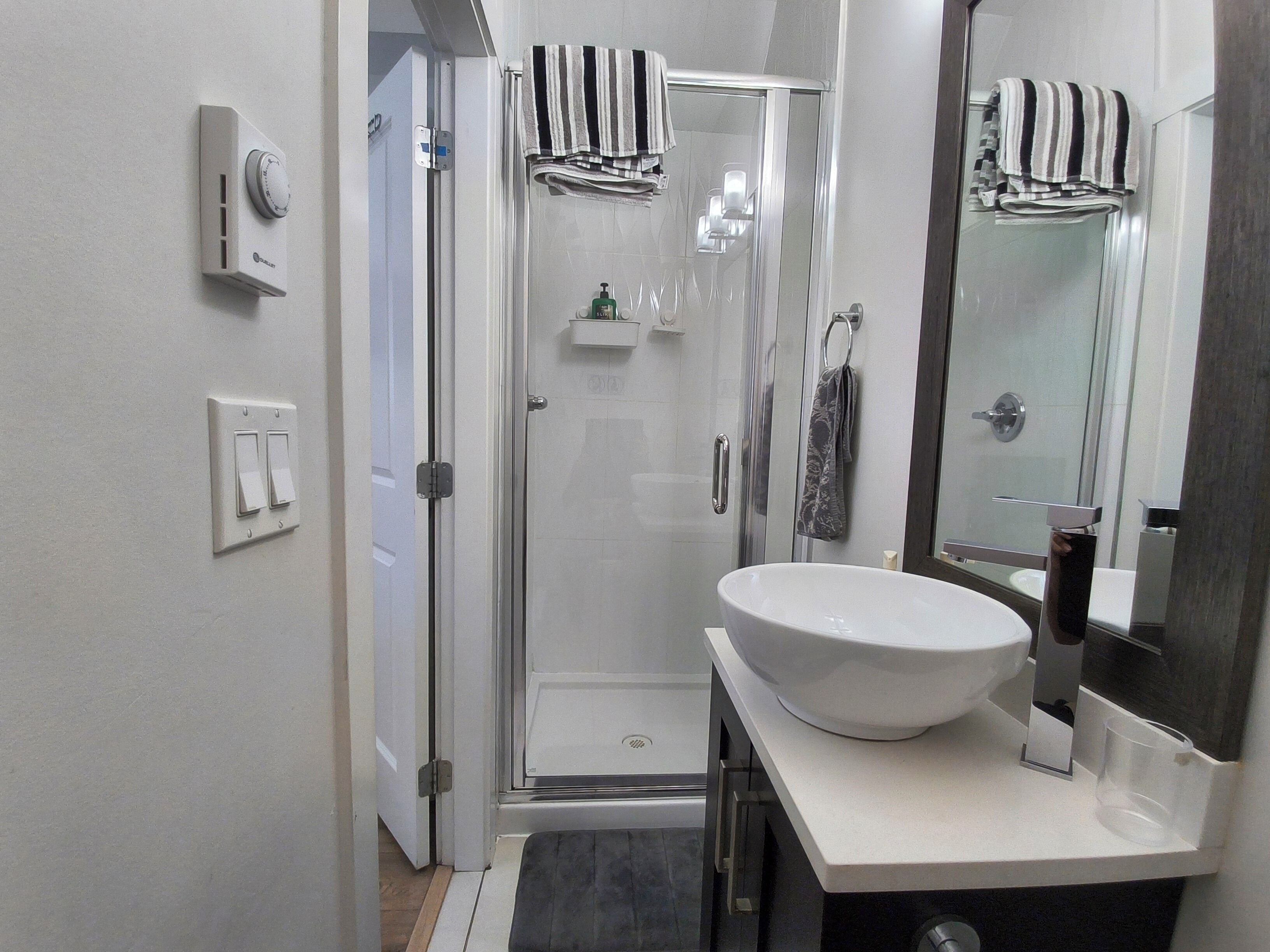 Shower, hair dryer, bidet, towels