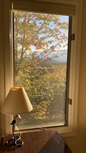 Ein Fenster mit Blick auf Bäume und eine Lampe auf einem Tisch.