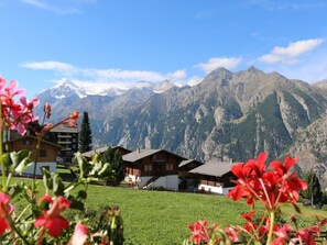 Terrain de l’hébergement 