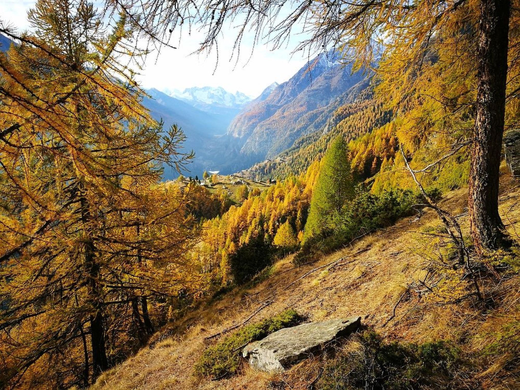 A mountainous landscape with autumn-colored trees and a clear sky.