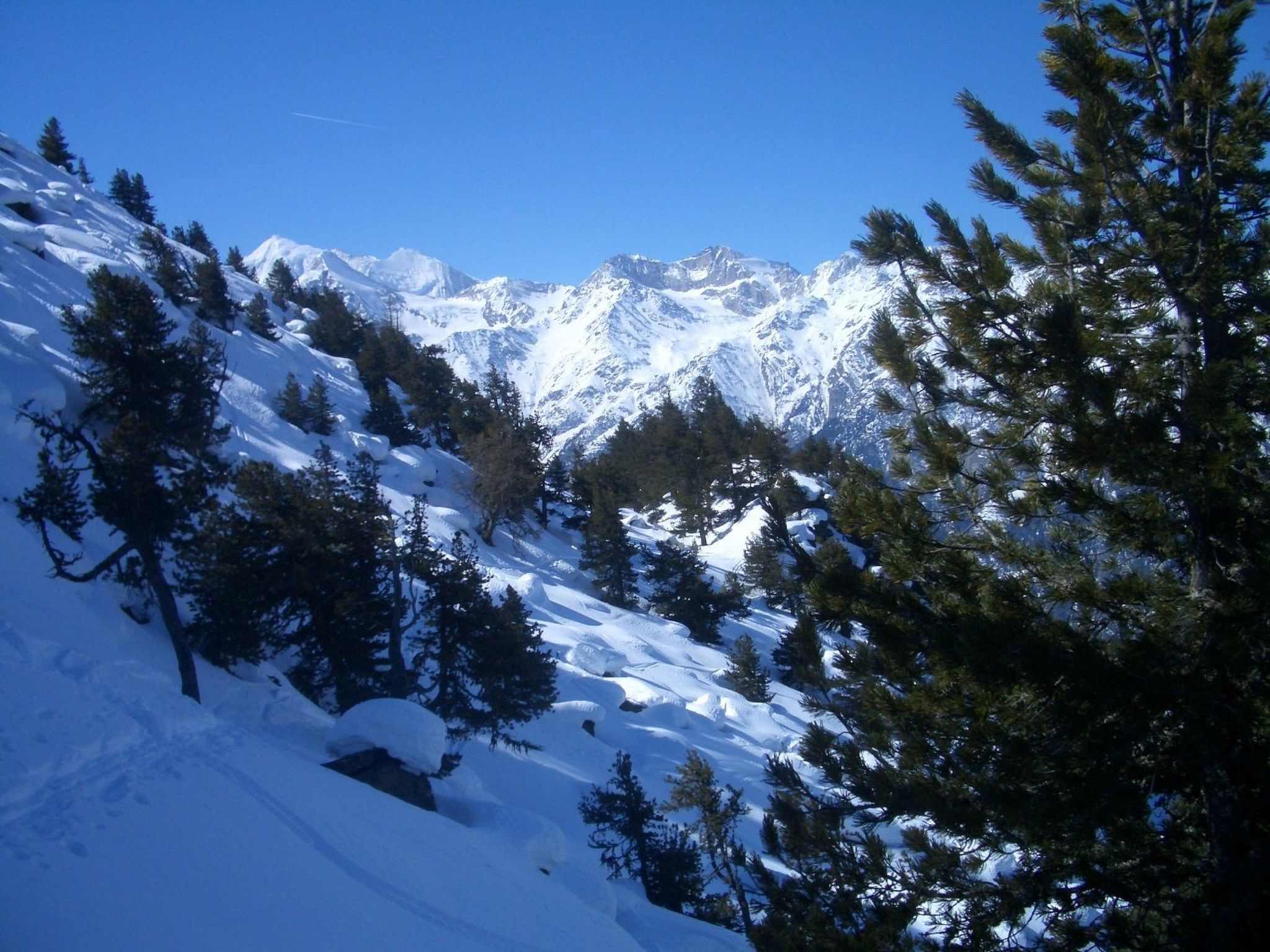 Un paisaje montañoso nevado con densos pinos y cumbres cubiertas de nieve.
