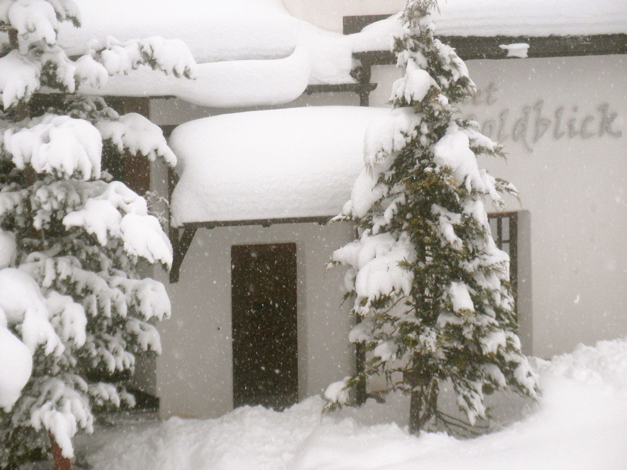 Un edificio con árboles cubiertos de nieve y una puerta visible.