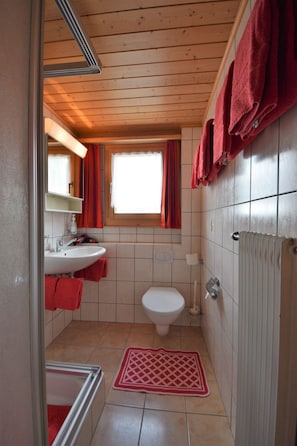 A compact bathroom with a white sink, toilet, and a red mat on the floor. - Ferienwohnungen Zur Heimat, (Grächen), by Interhome (Grächen)